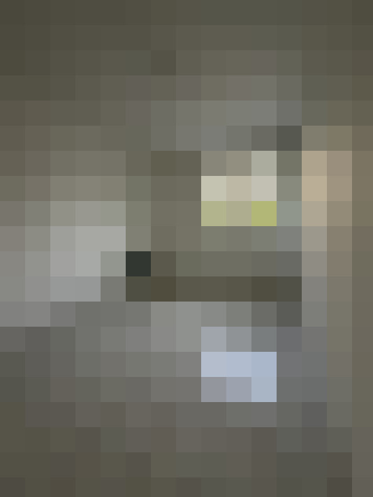  / #16