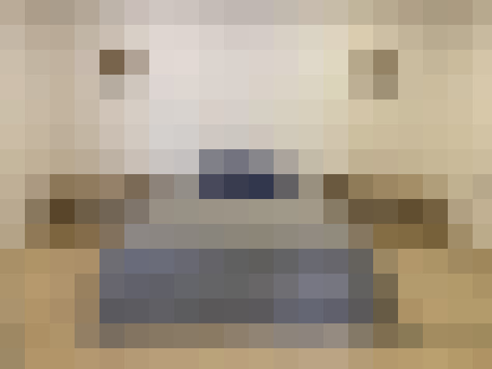  / #9
