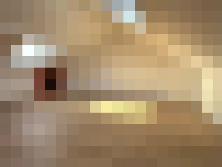  / #29