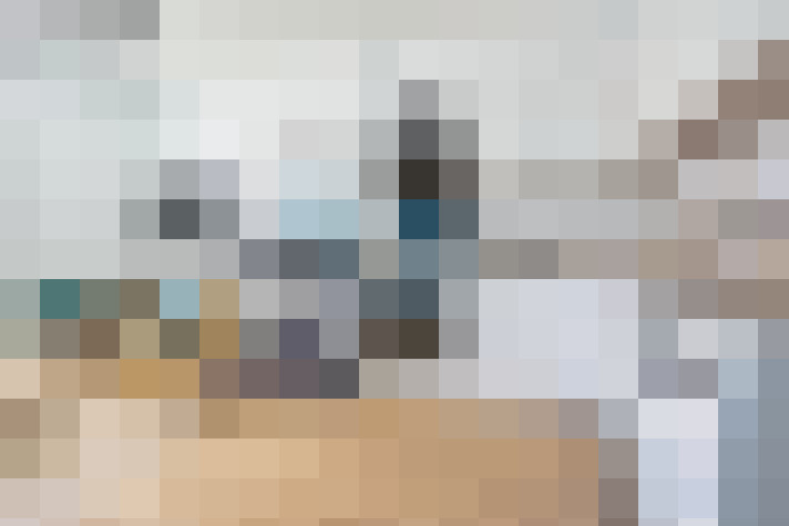  / #13