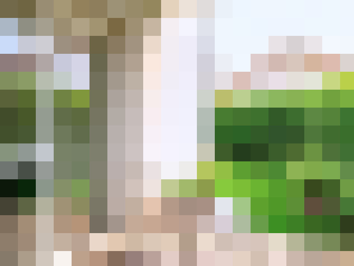  / #18