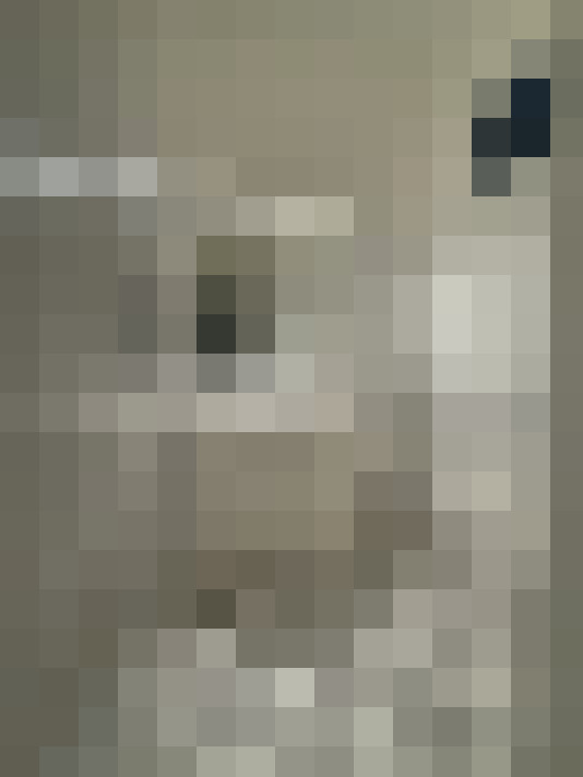  / #8