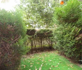 Studio à Paris