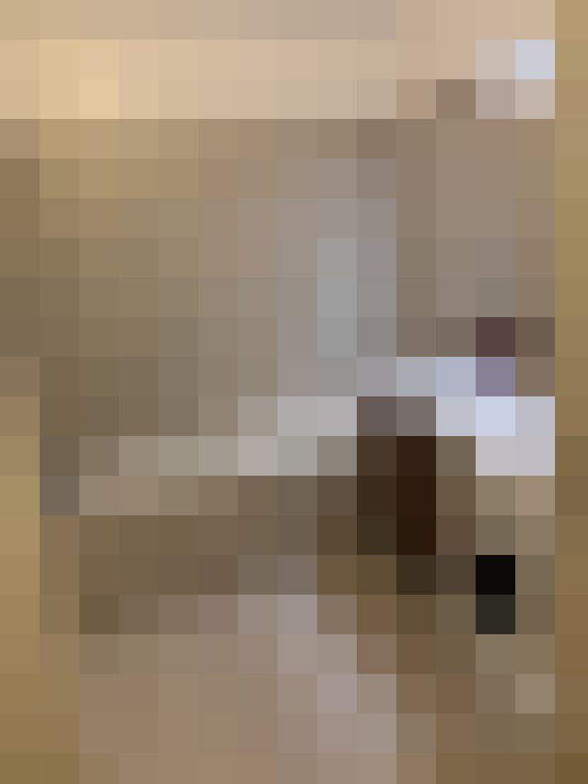  / #11