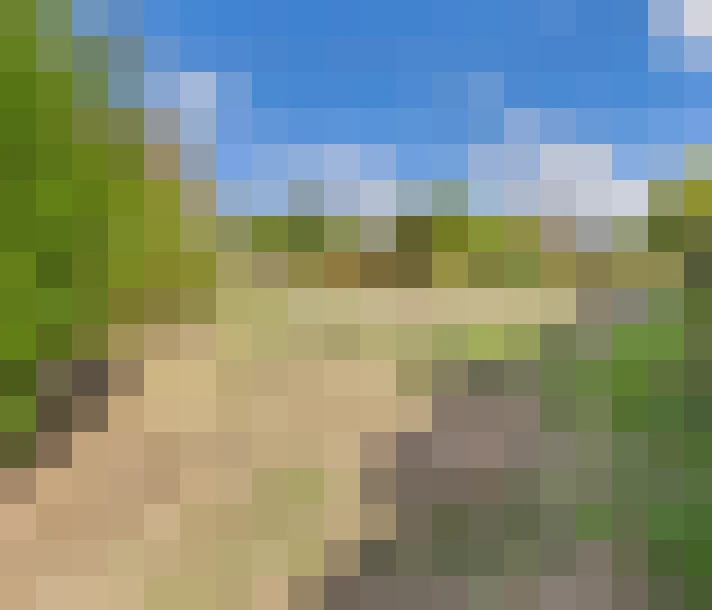  / #13