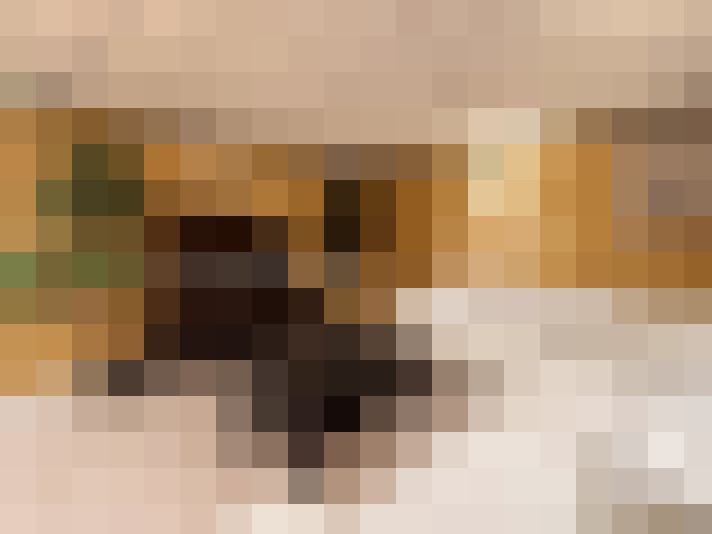  / #7