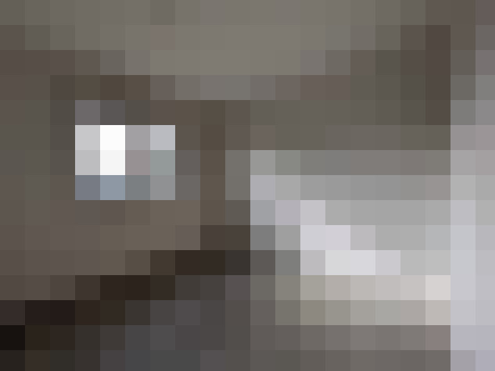  / #7
