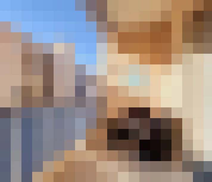  / #11