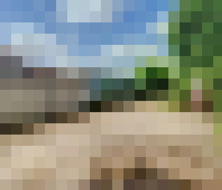  / #7