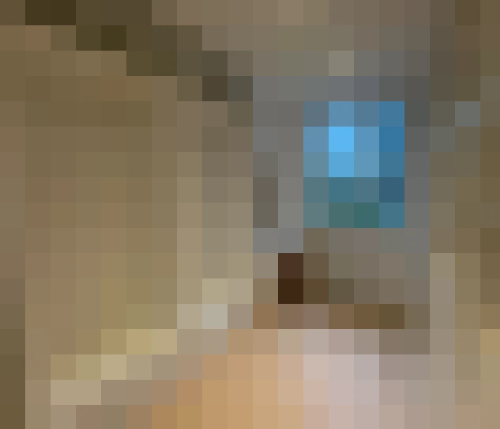  / #13