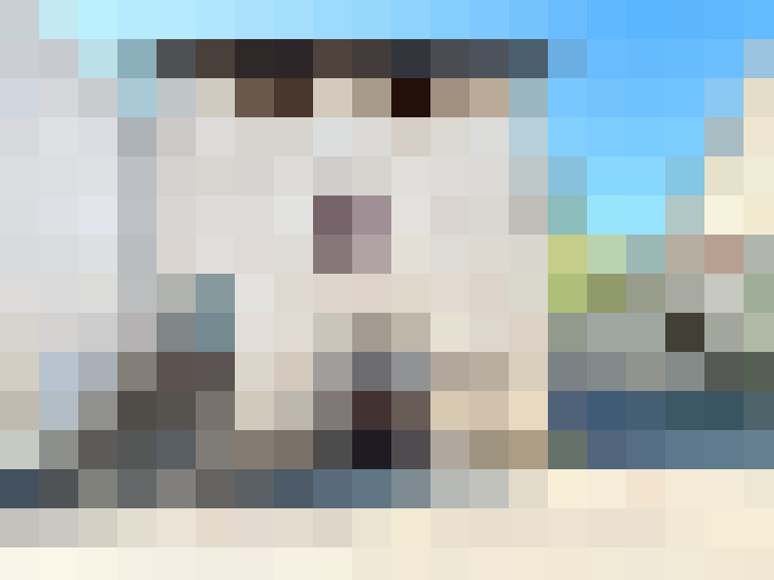  / #11