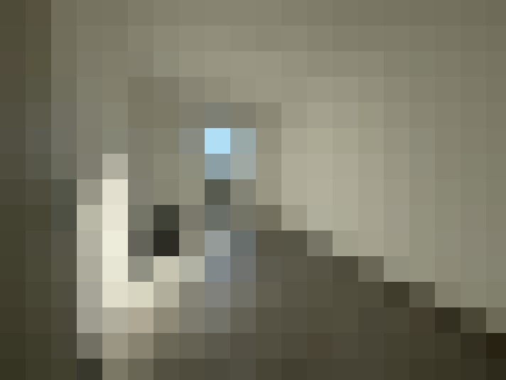 / #7