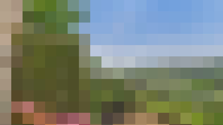  / #4