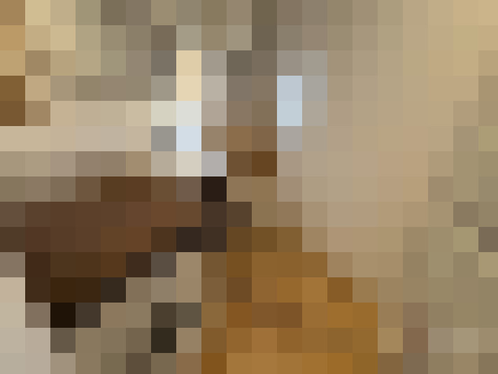  / #7