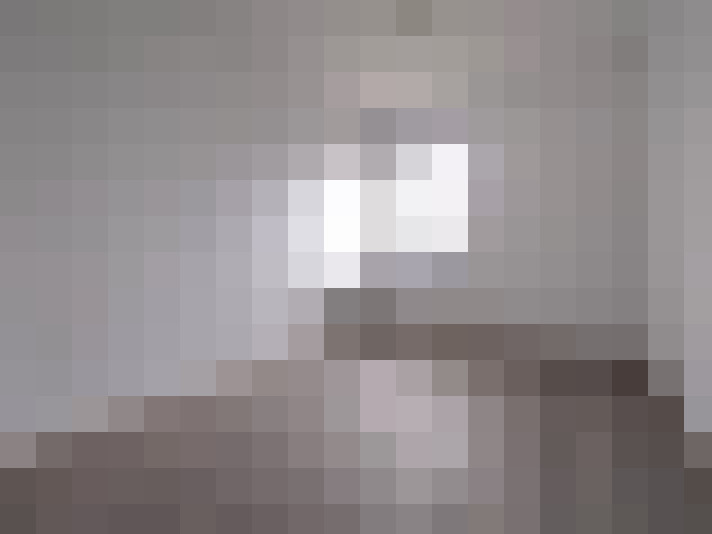 / #6