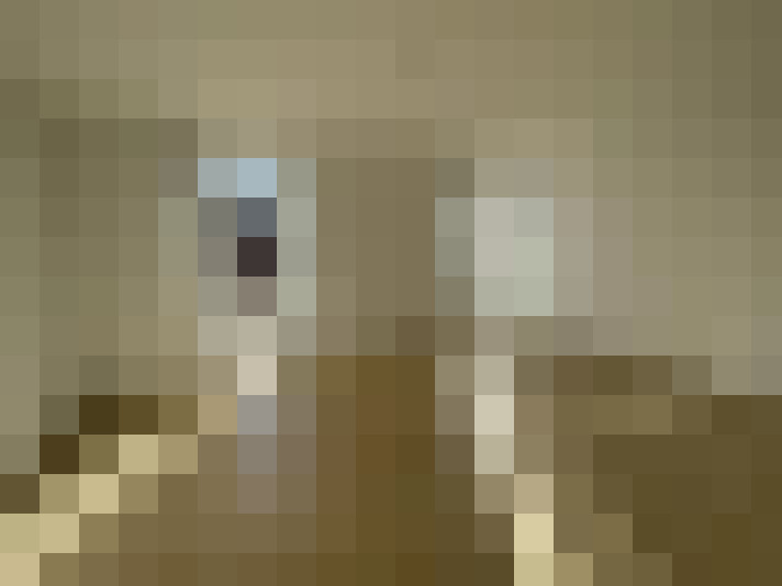  / #8