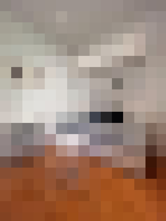  / #8