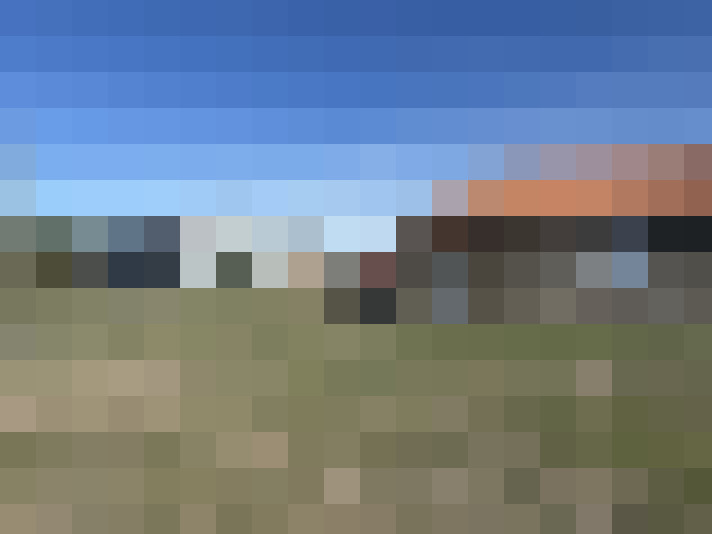  / #14