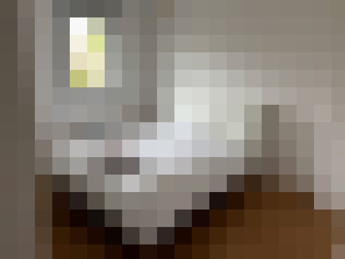  / #7