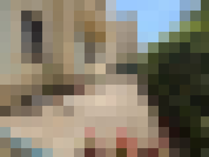  / #13