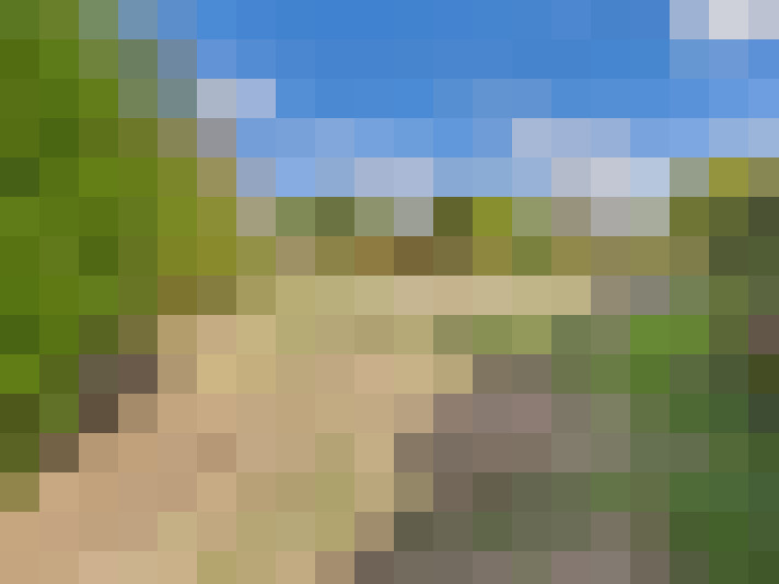  / #13
