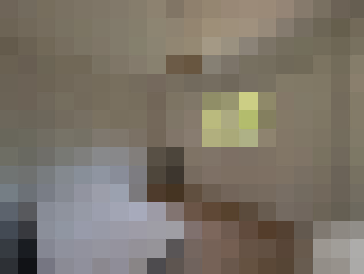  / #13