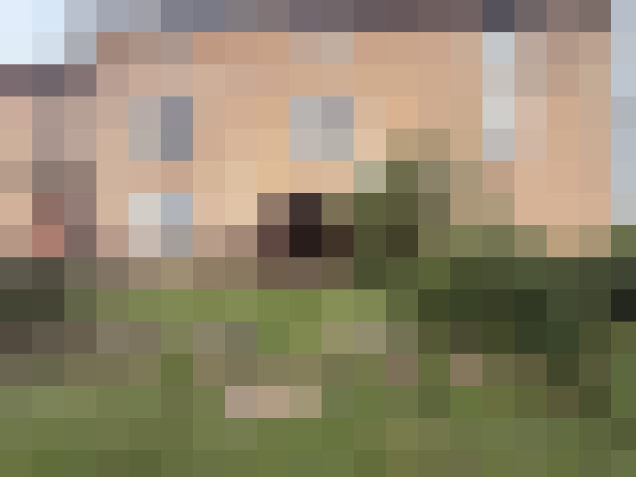  / #16