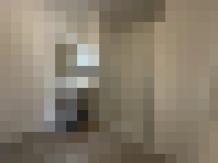  / #7