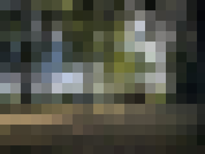  / #7