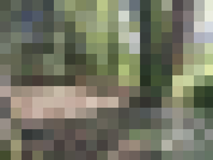  / #15