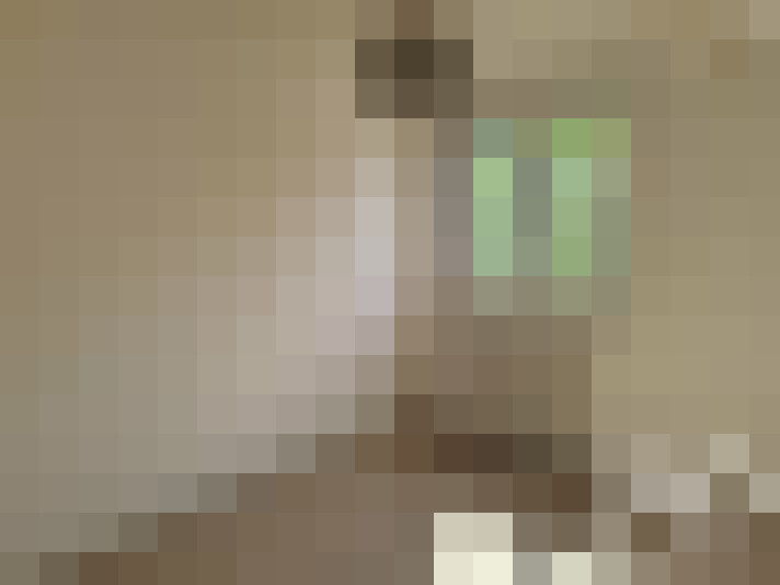  / #10