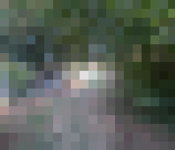  / #16