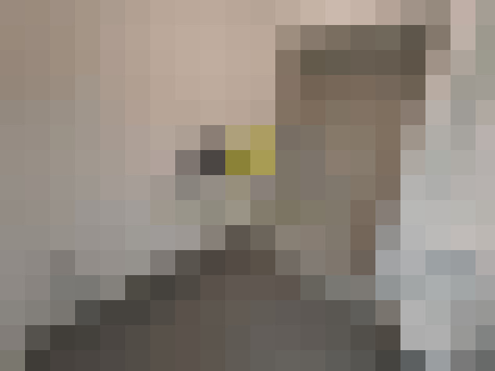  / #8
