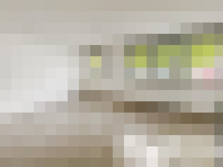  / #2