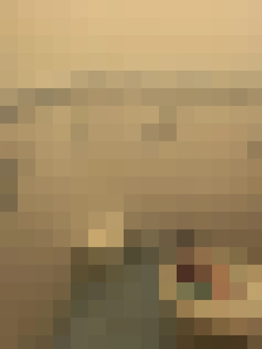  / #11
