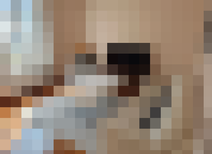  / #7