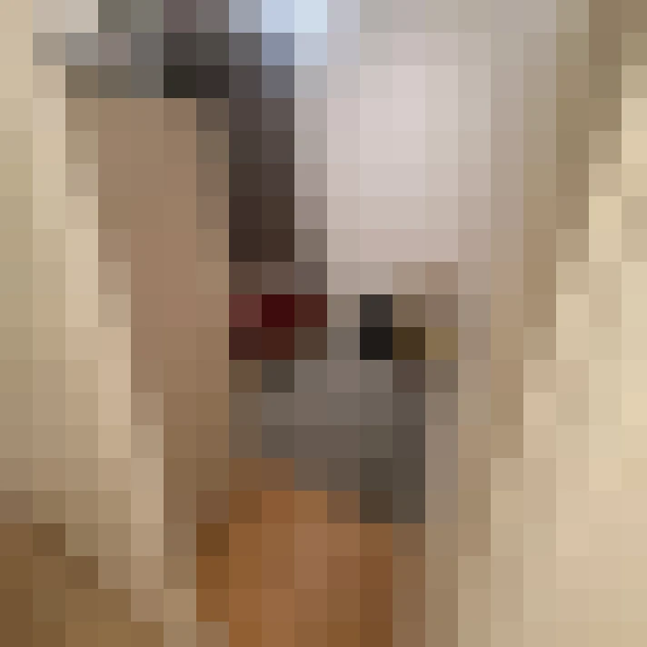  / #8
