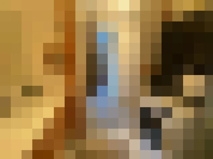  / #8
