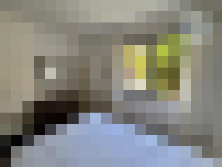  / #15