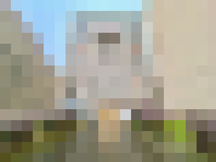  / #6