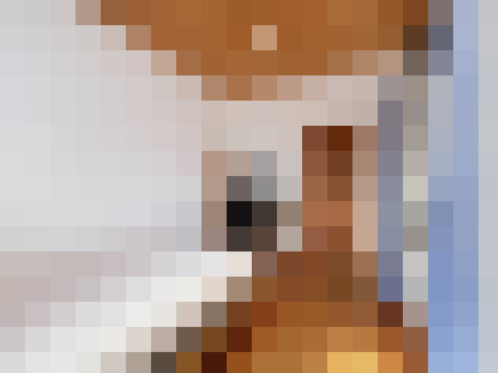  / #4