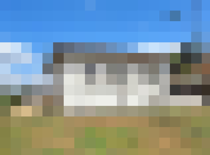  / #11