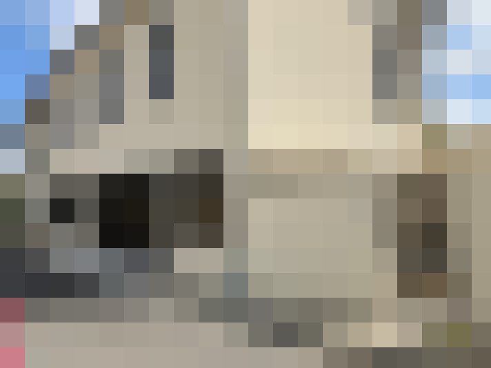  / #11