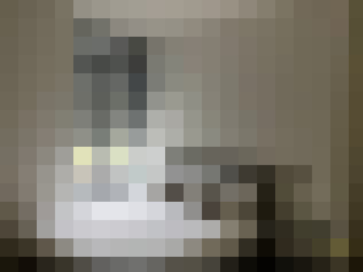  / #15