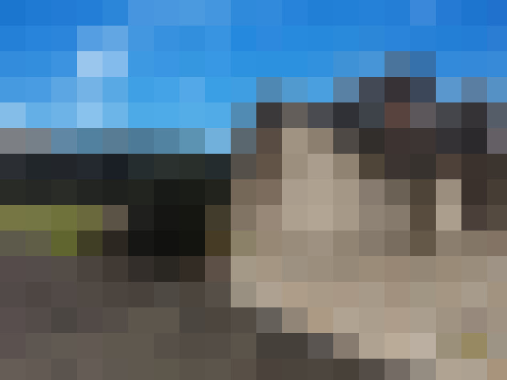  / #14