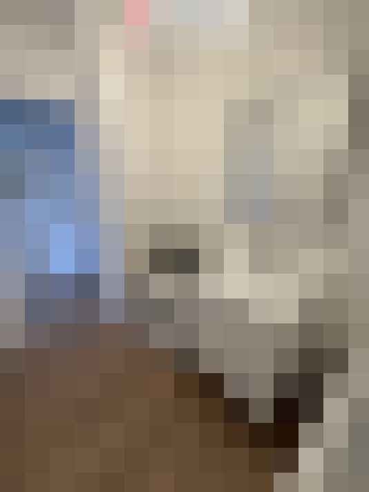  / #8