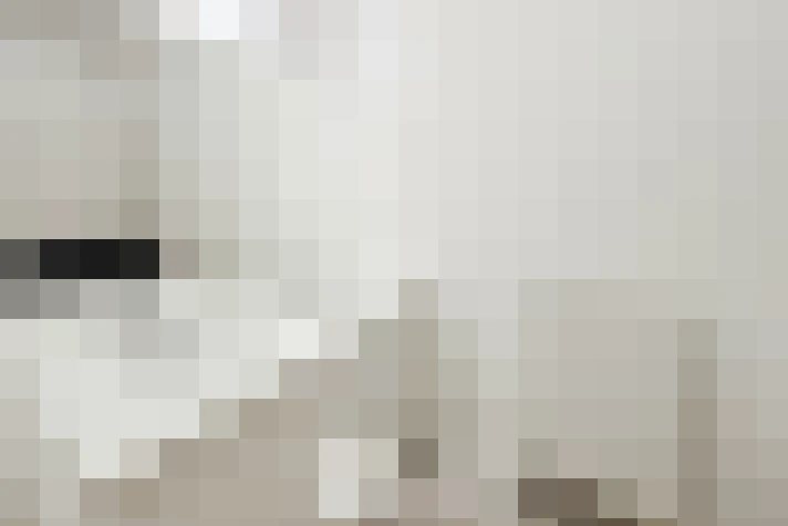  / #16