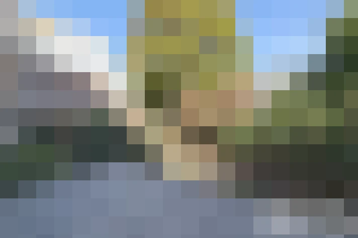  / #16