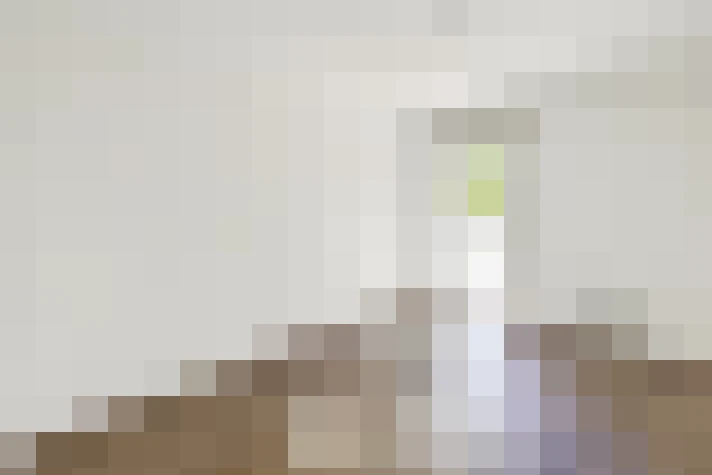  / #7