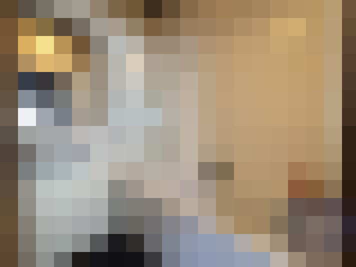  / #6